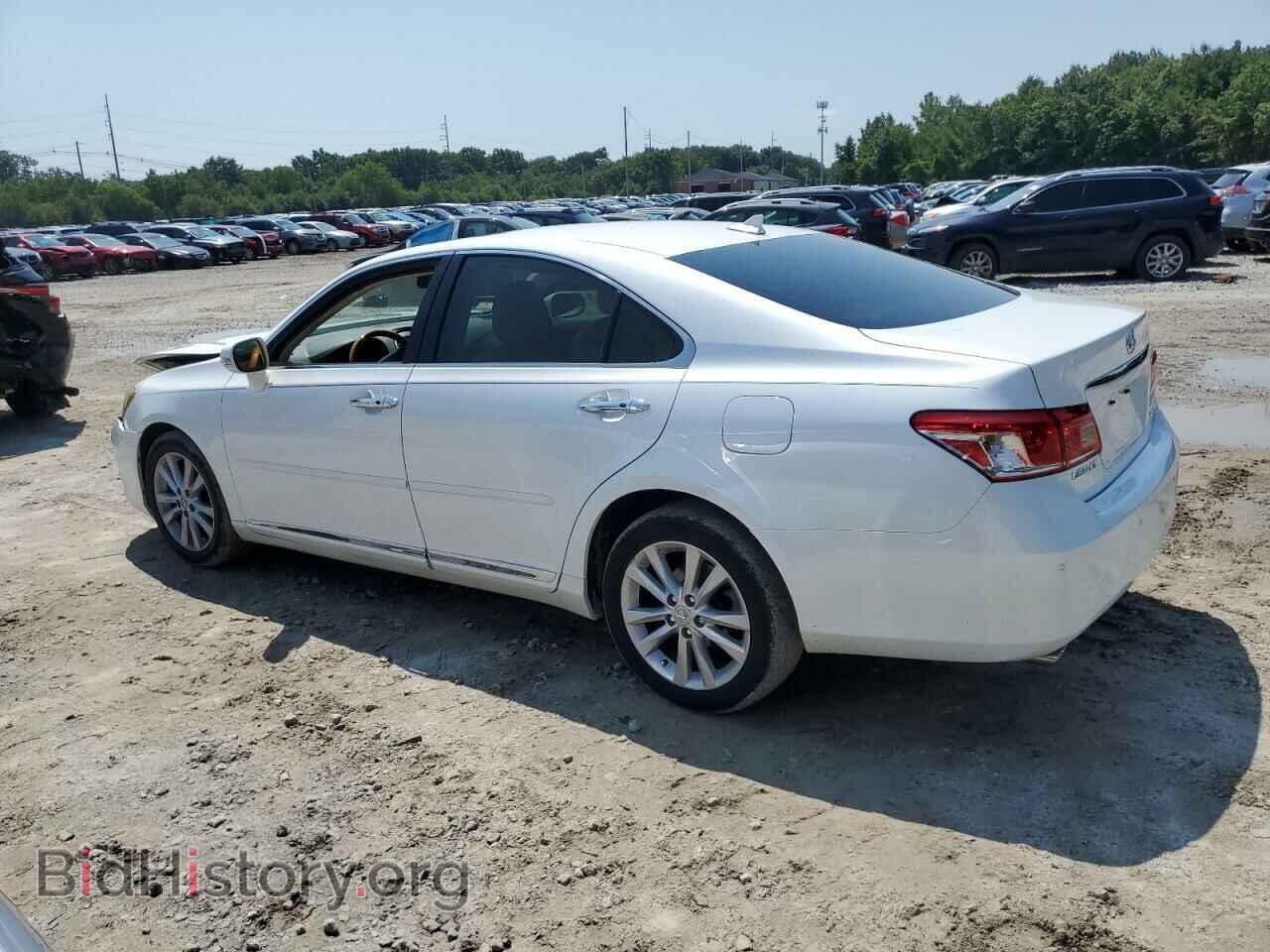 2010 LEXUS ES350 - VIN: JTHBK1EG7A2385818 - Фото 2