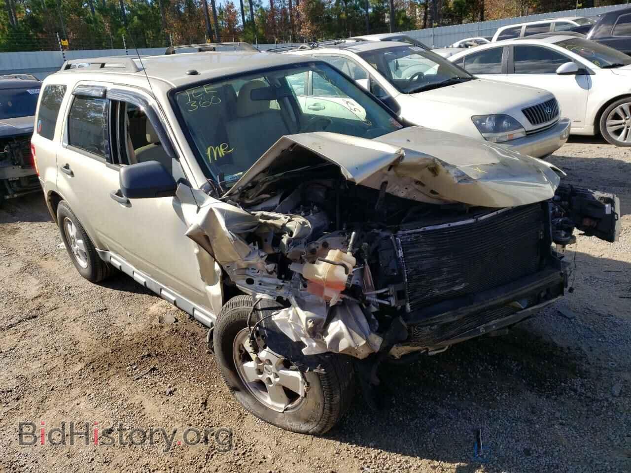 Фотография 1FMCU0DG2BKC01975 - FORD ESCAPE 2011