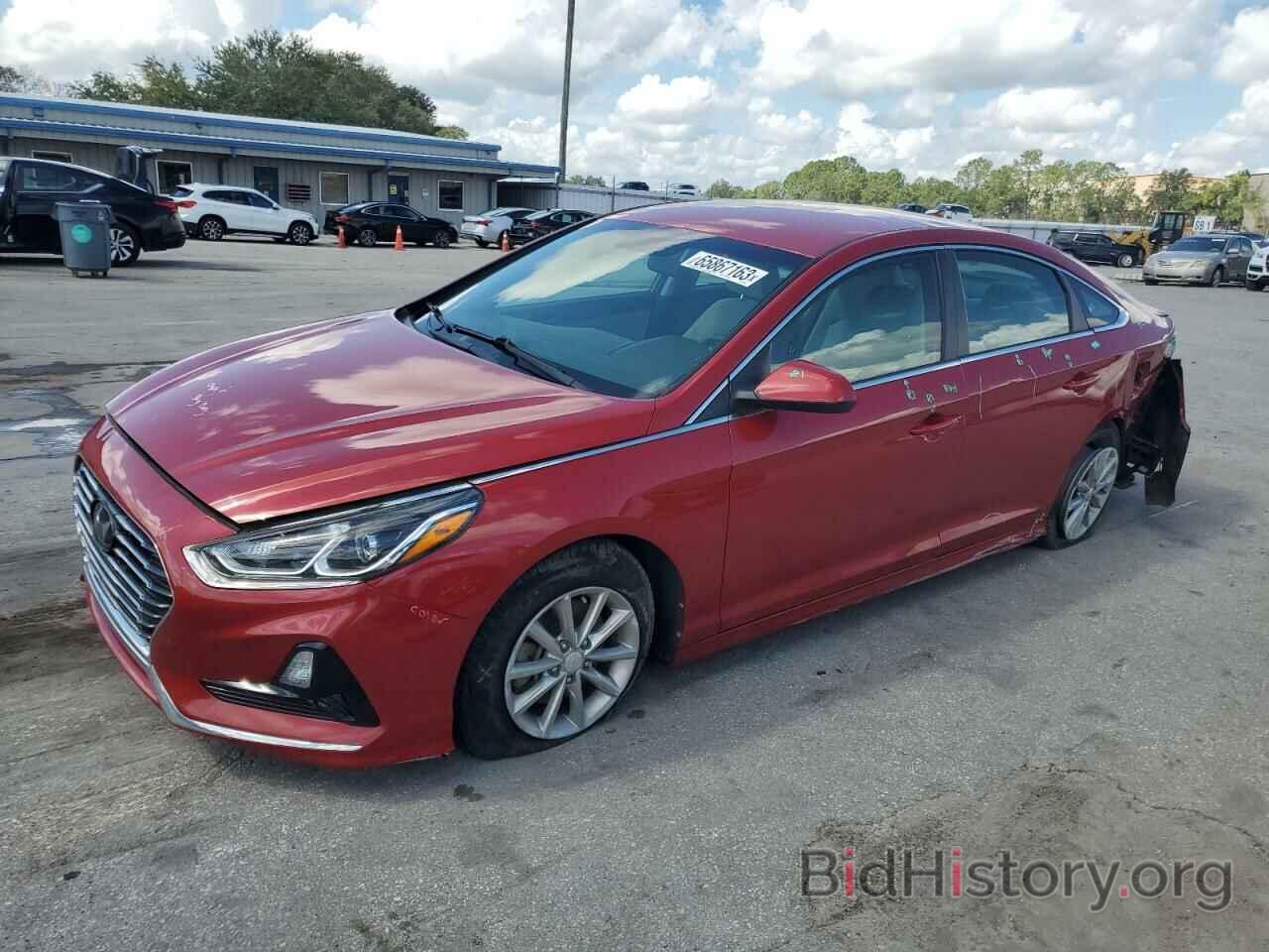 Photo 5NPE24AF4KH768029 - HYUNDAI SONATA 2019