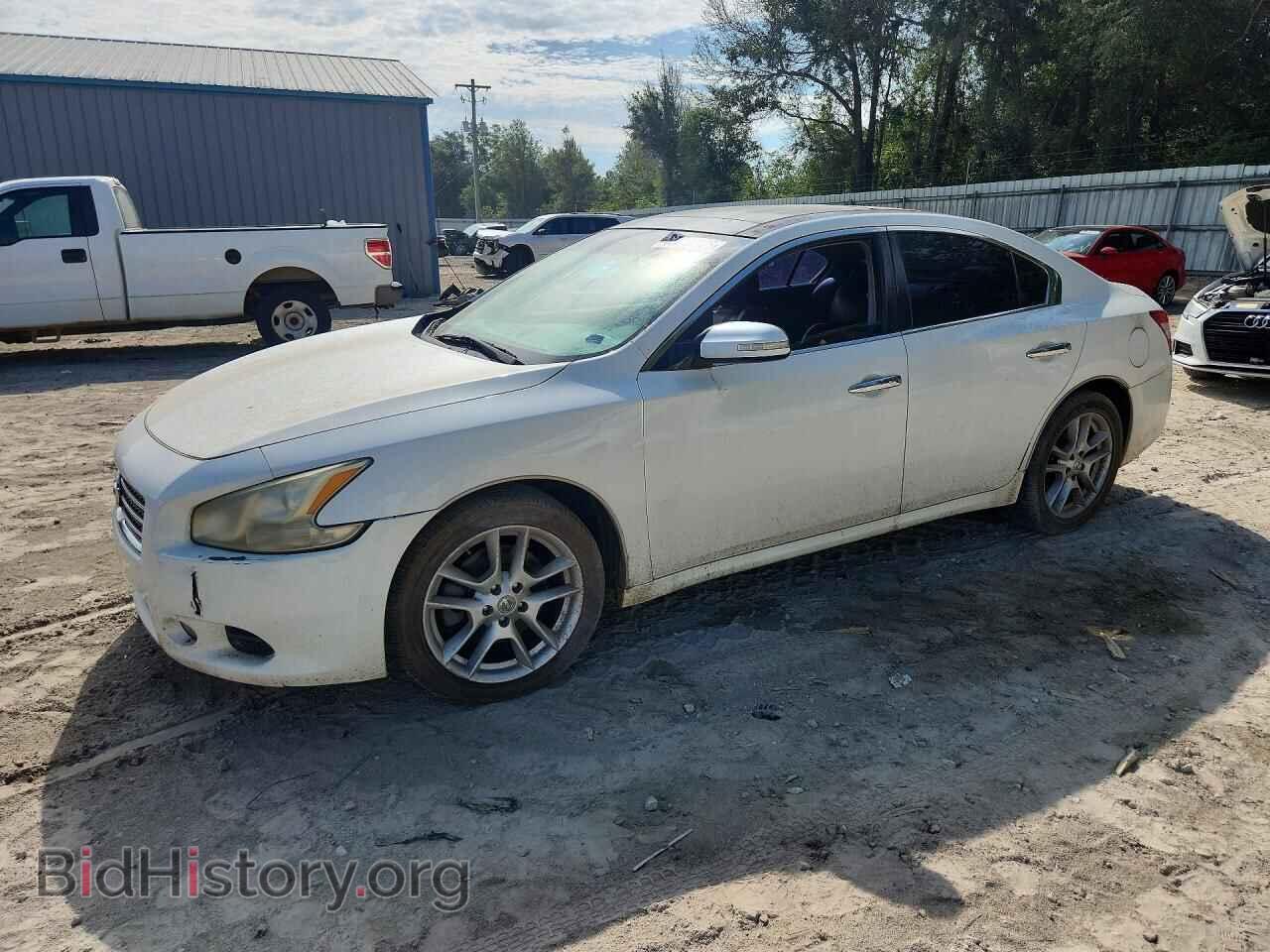 Photo 1N4AA51E39C833902 - NISSAN MAXIMA 2009