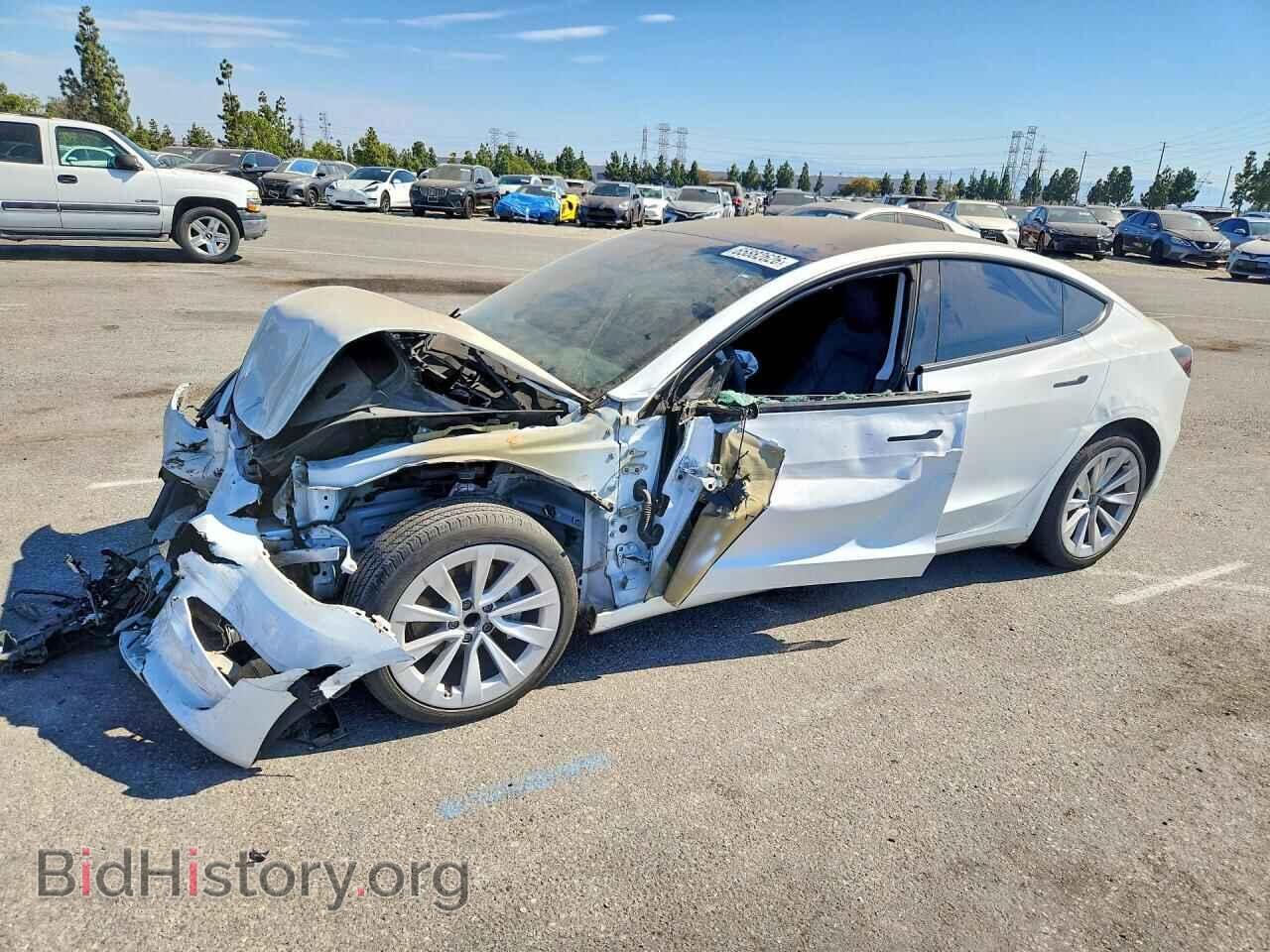 Photo 5YJ3E1EAXPF511538 - TESLA MODEL 3 2023