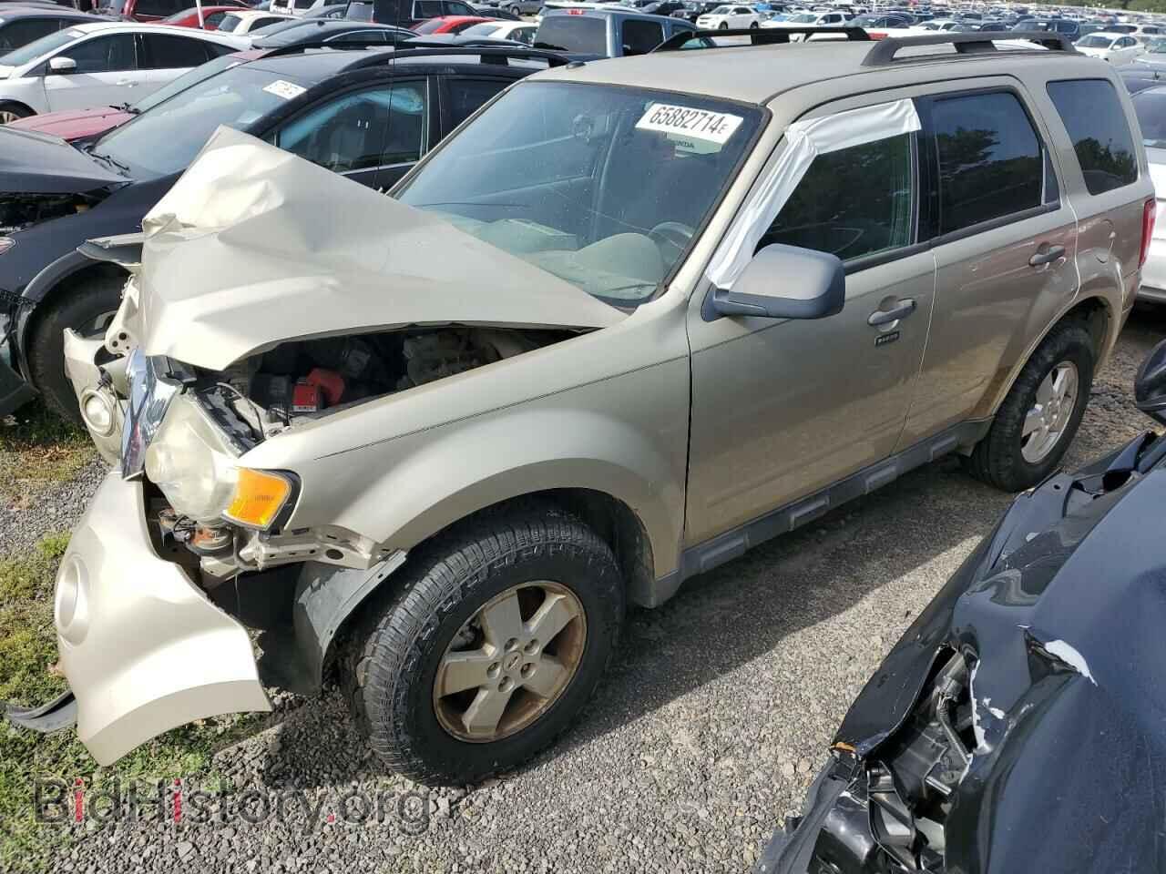 Photo 1FMCU0DG4AKA47185 - FORD ESCAPE 2010