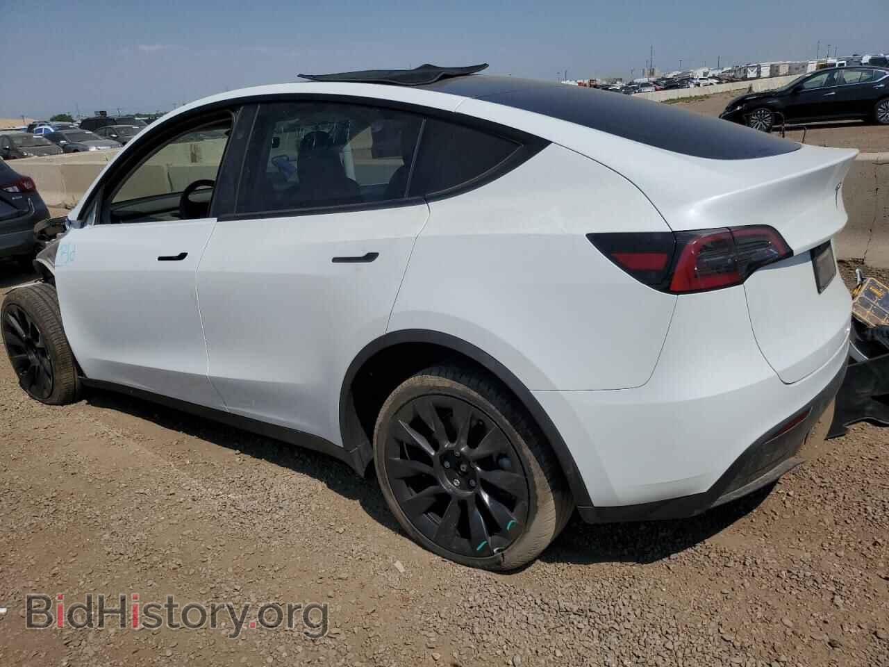2024 TESLA MODEL Y - VIN: 7SAYGDEE3RF154326 - Фото 2