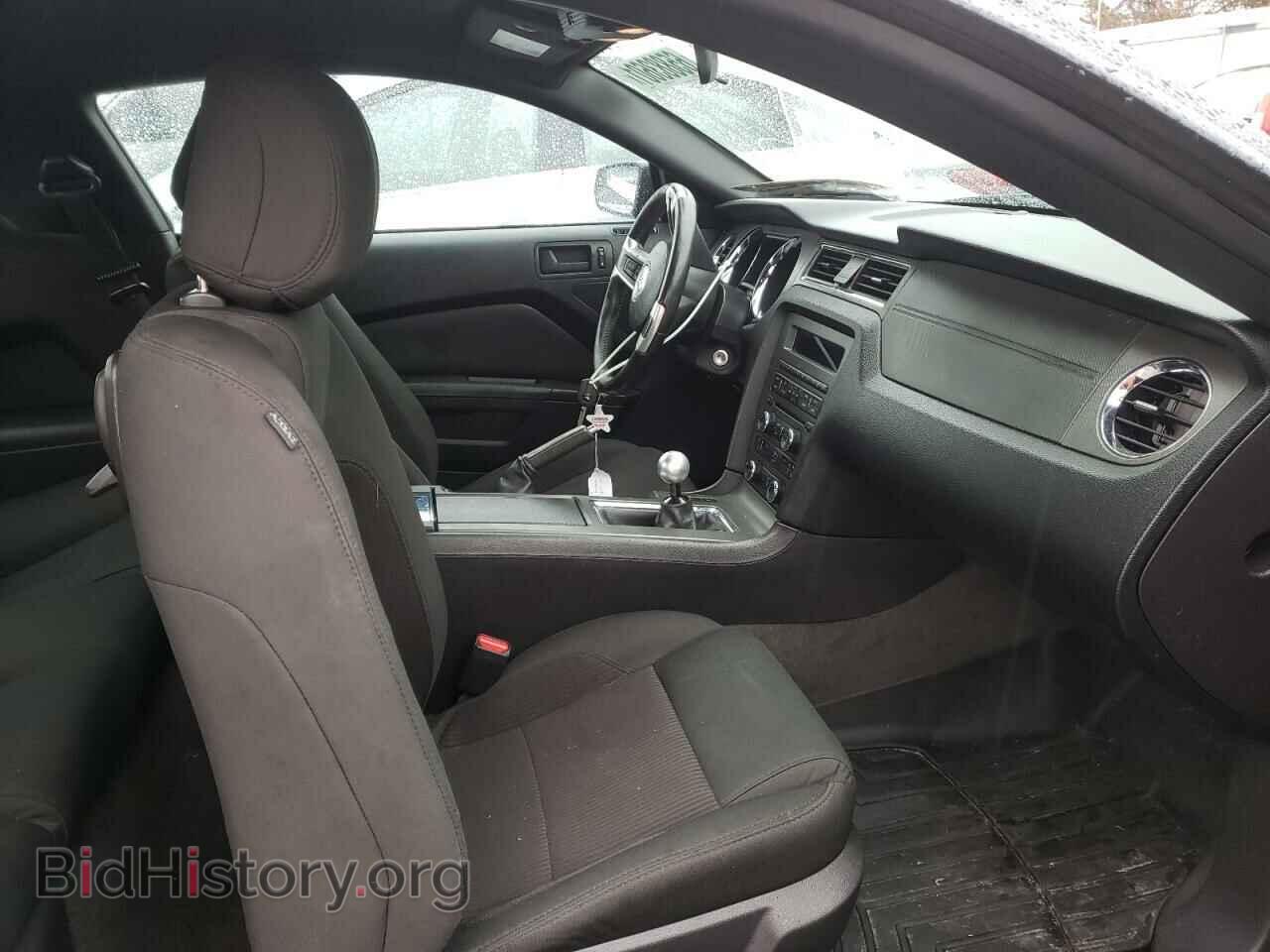 2014 FORD MUSTANG - VIN: 1ZVBP8AM7E5325983 - Фото 5