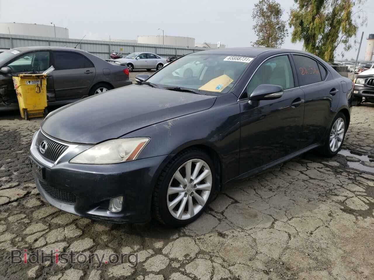 2009 LEXUS IS - VIN: JTHBK262995101902 - Фото 2