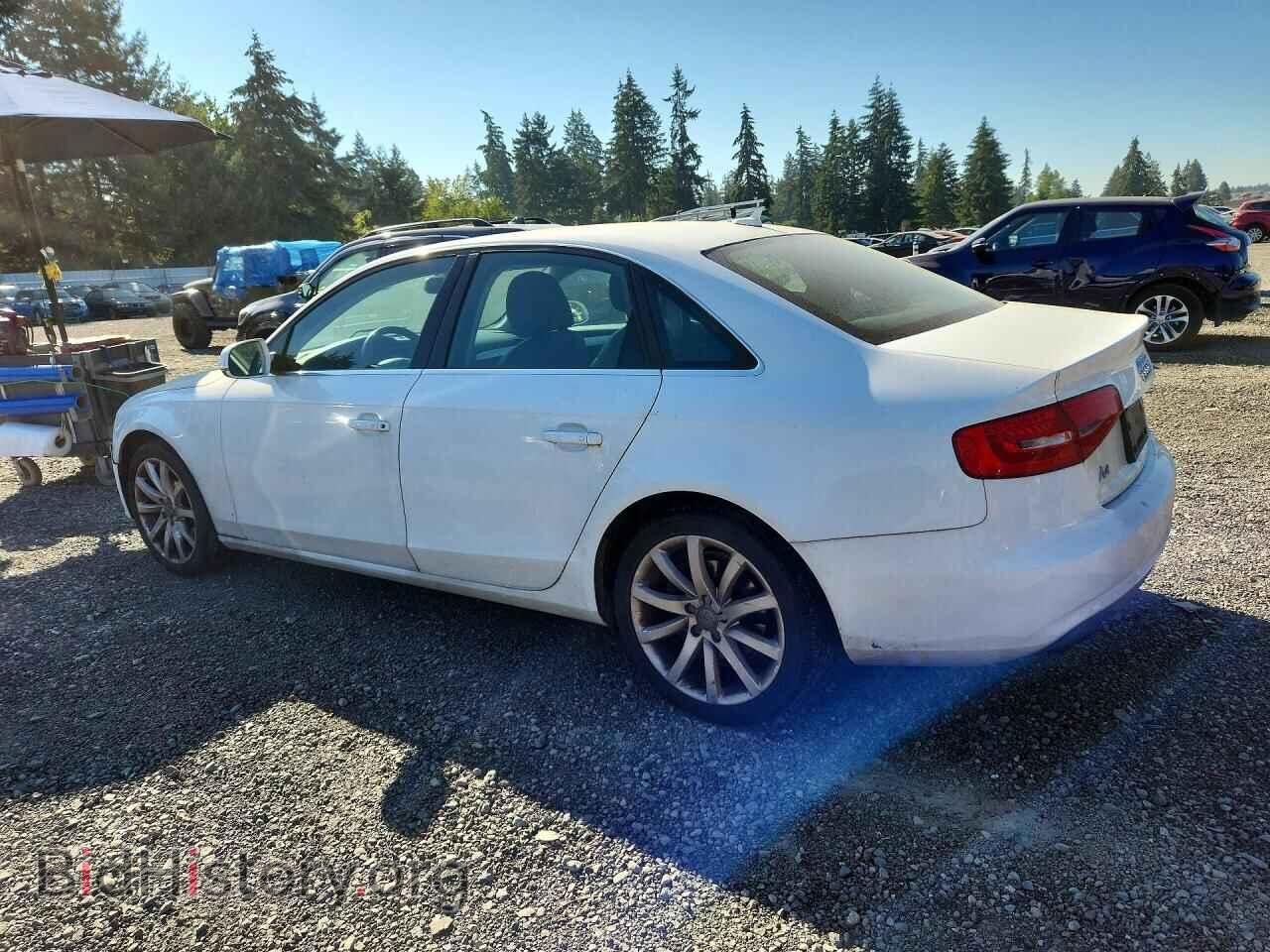 2013 AUDI A4 - VIN: WAUFFAFL8DN029607 - Photo 2