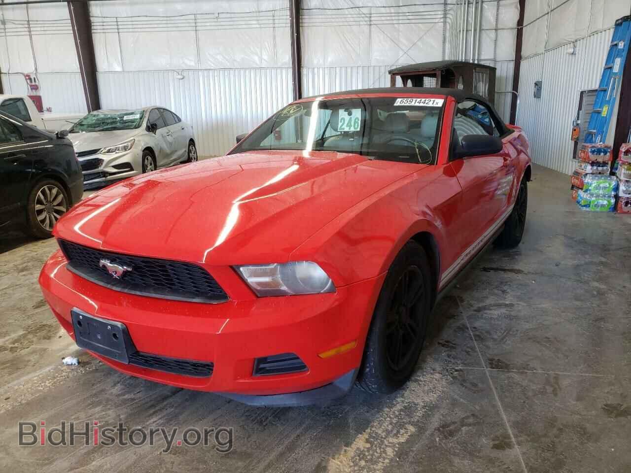 2012 FORD MUSTANG - VIN: 1ZVBP8EM4C5286728 - Фото 2