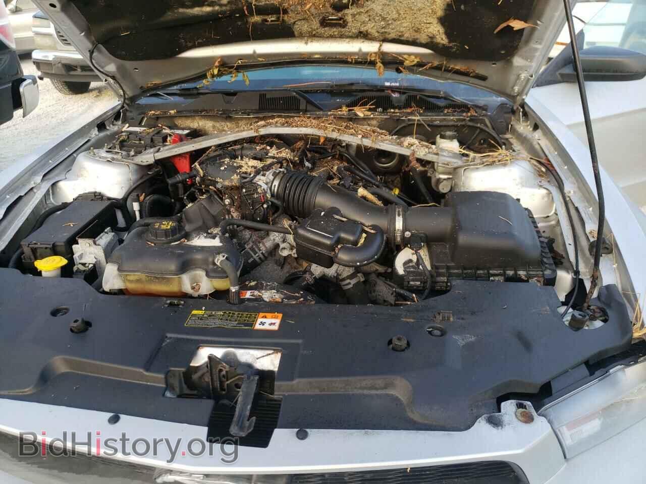 2011 FORD MUSTANG - VIN: 1ZVBP8EM9B5129288 - Фото 7