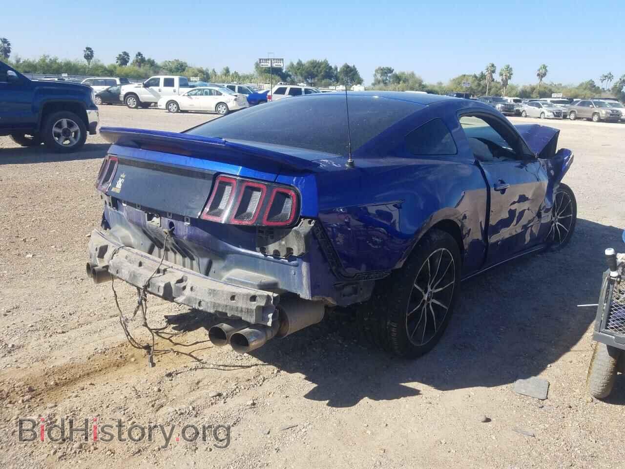 2013 FORD MUSTANG - VIN: 1ZVBP8AM5D5274806 - Фото 4