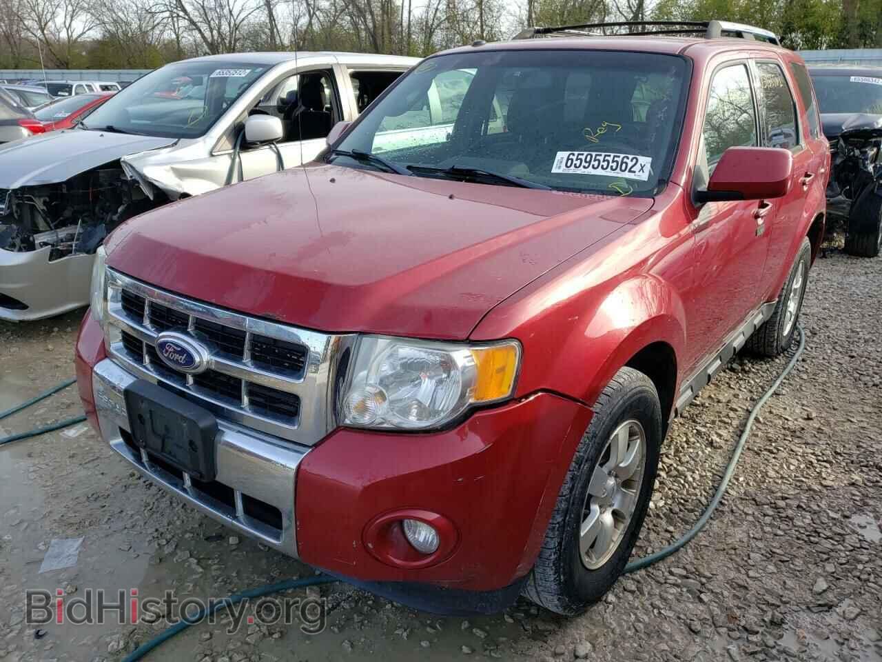 2011 FORD ESCAPE - VIN: 1FMCU9EG7BKA29011 - Фото 2