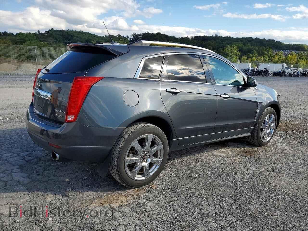 2010 CADILLAC SRX - VIN: 3GYFNJE49AS568815 - Фото 3