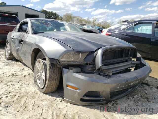 Photo 1ZVBP8AM6E5305546 - FORD MUSTANG 2014