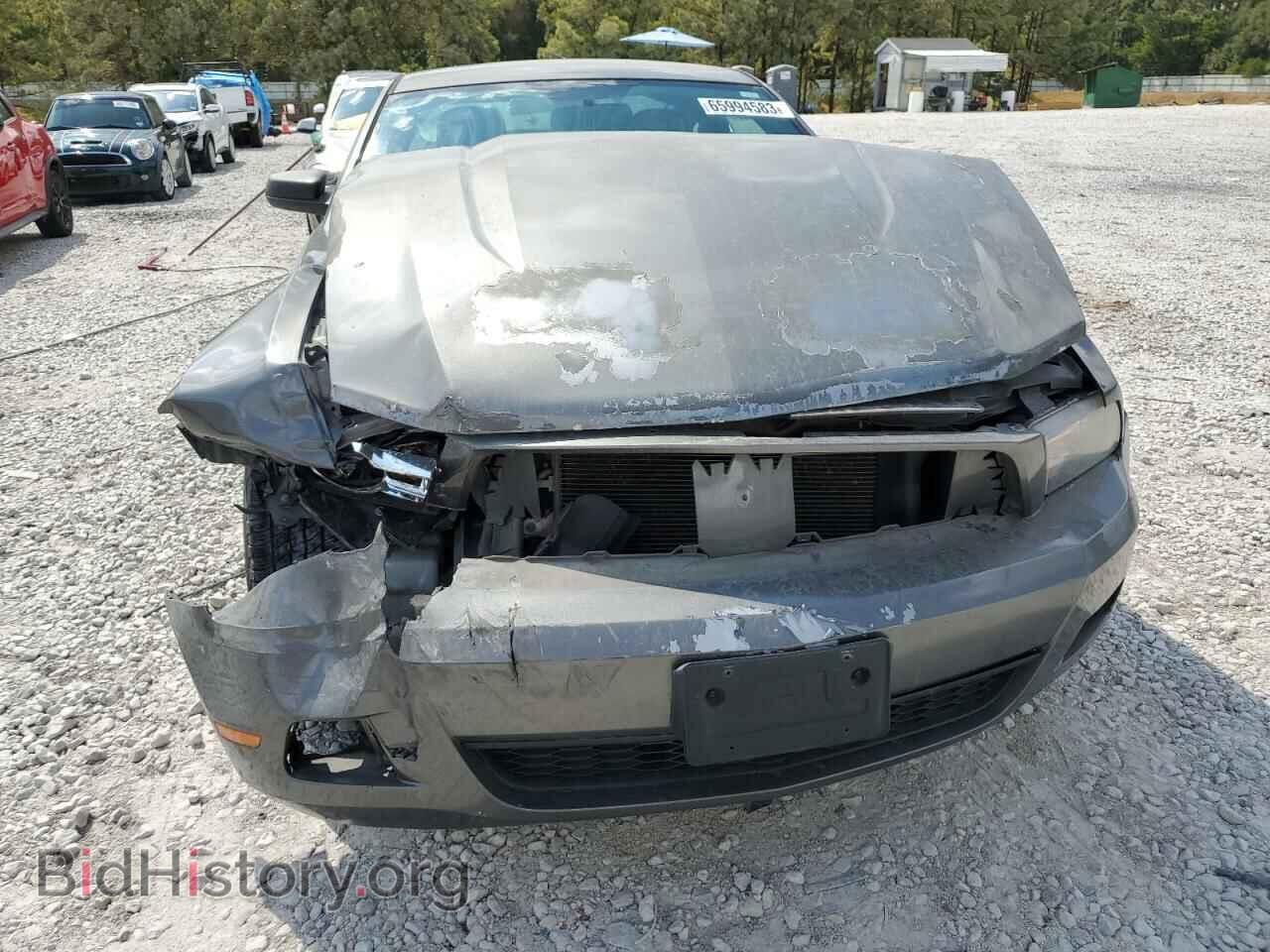 2011 FORD ALL Models - VIN: 1ZVBP8AM3B5166486 - Фото 5