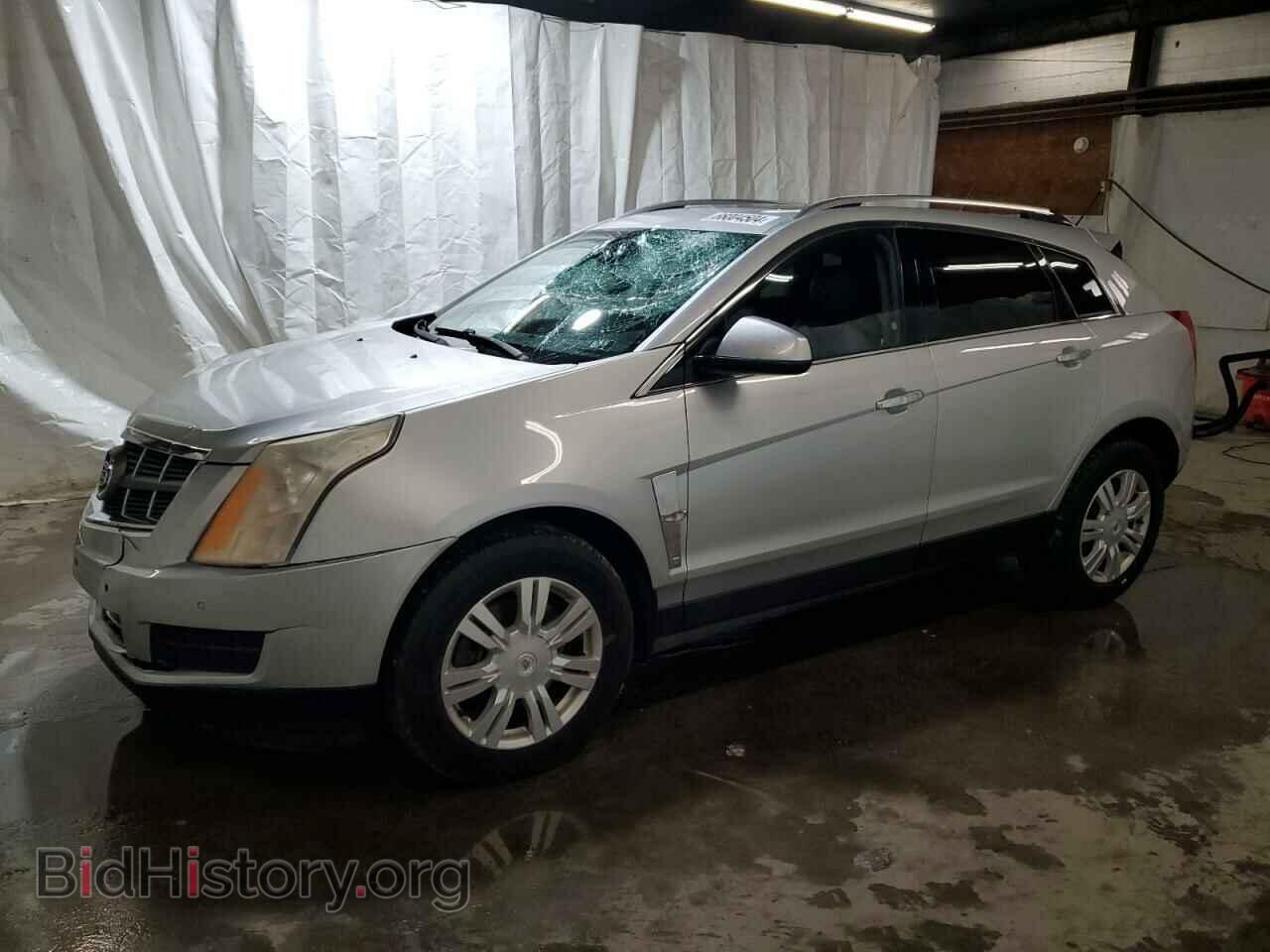 Фотография 3GYFNAE39CS531029 - CADILLAC SRX 2012