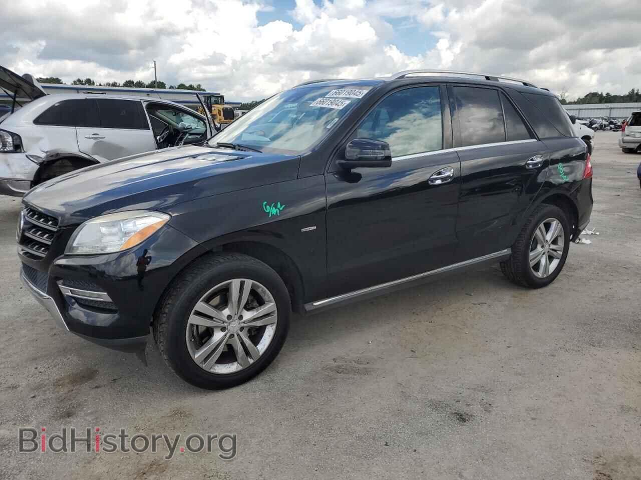 Photo 4JGDA5HB6CA038862 - MERCEDES-BENZ M-CLASS 2012