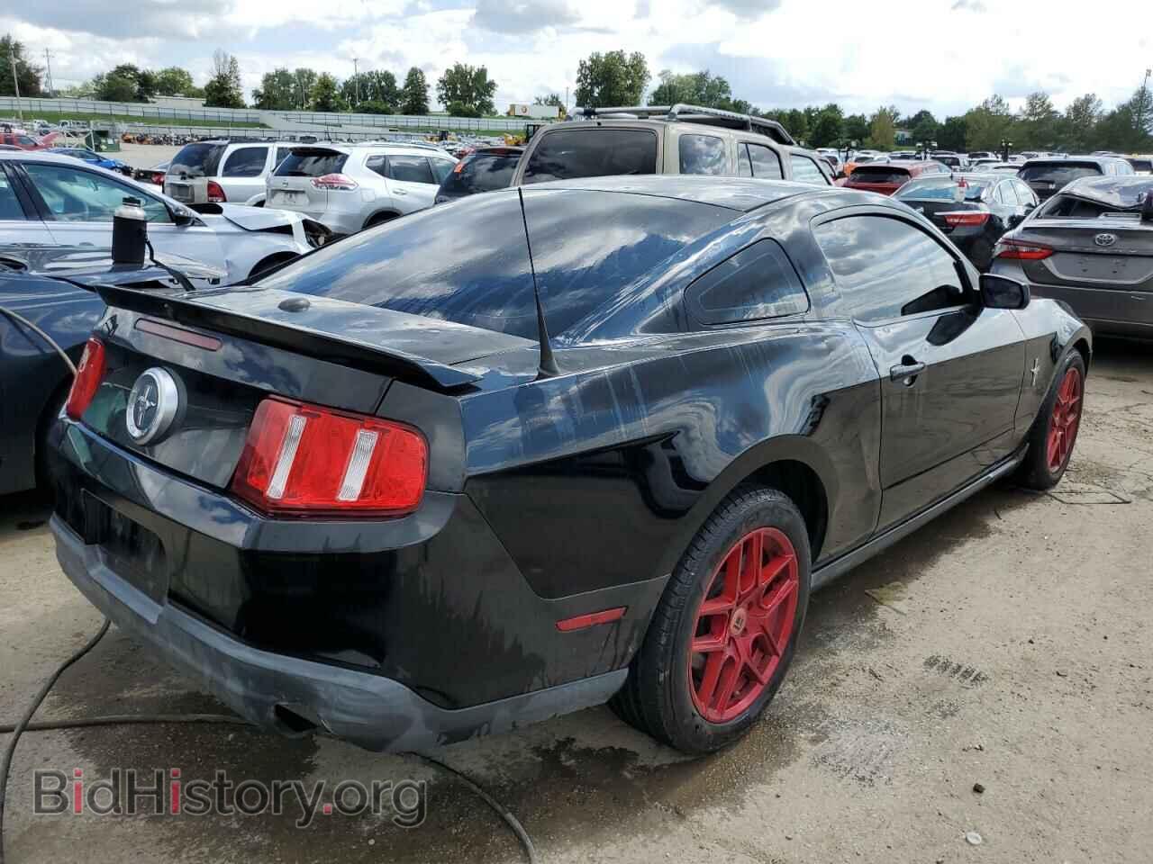 2010 FORD ALL Models - VIN: 1ZVBP8AN8A5168774 - Фото 3