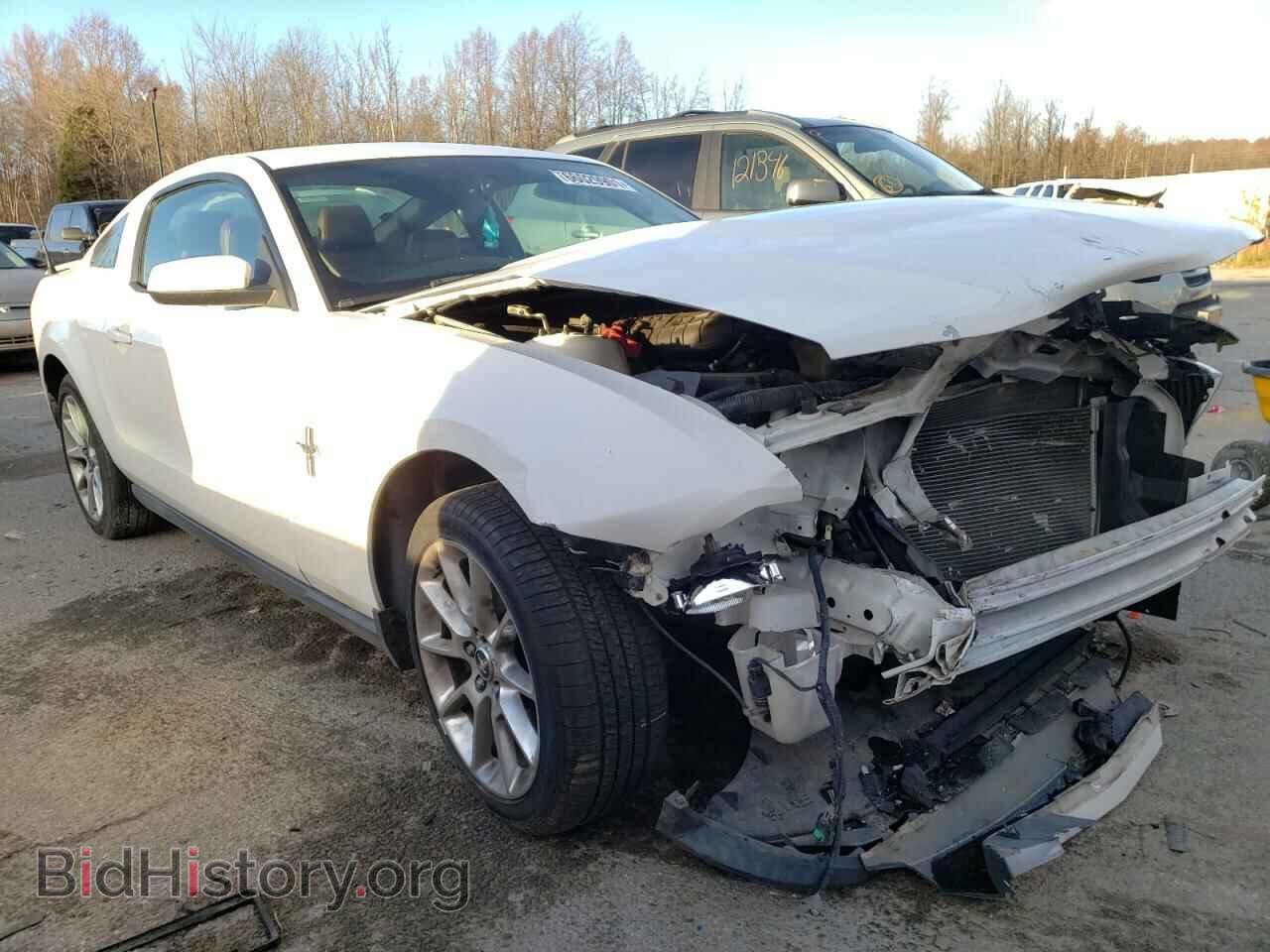 Photo 1ZVBP8AM3B5124884 - FORD MUSTANG 2011