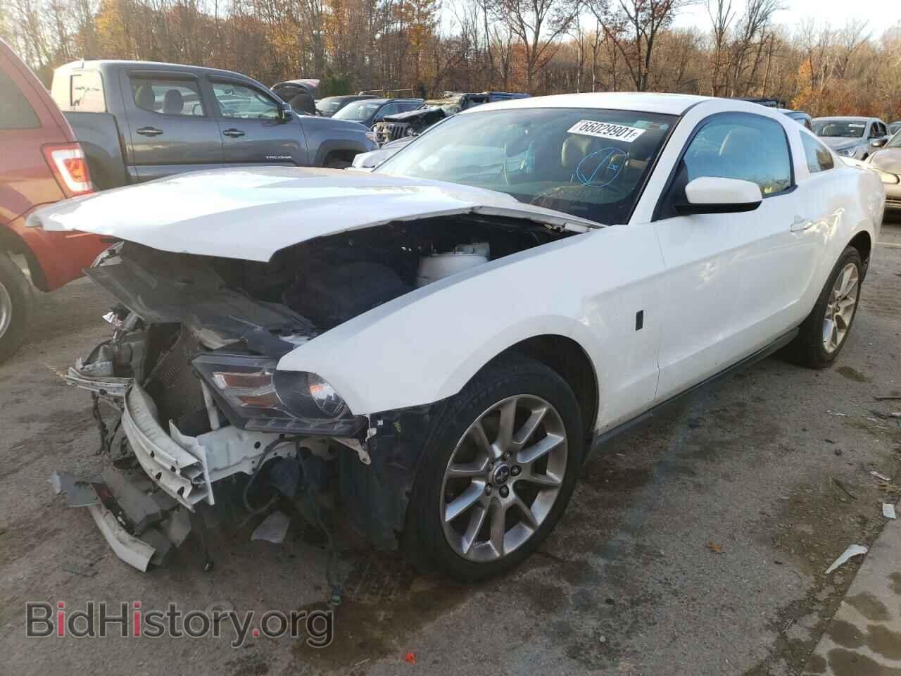 2011 FORD MUSTANG - VIN: 1ZVBP8AM3B5124884 - Фото 2