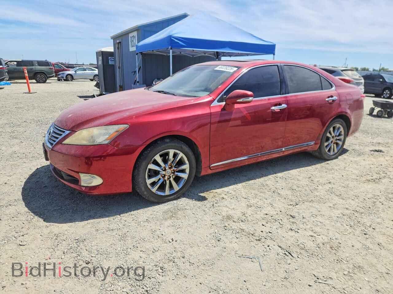 Фотография JTHBK1EG4A2375392 - LEXUS ES350 2010