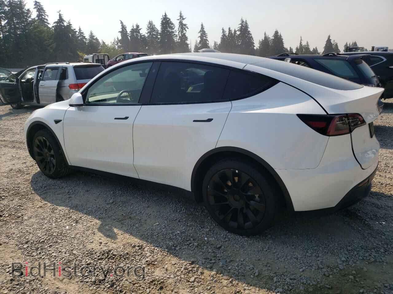 2023 TESLA MODEL Y - VIN: 7SAYGDEE2PF626450 - Фото 2