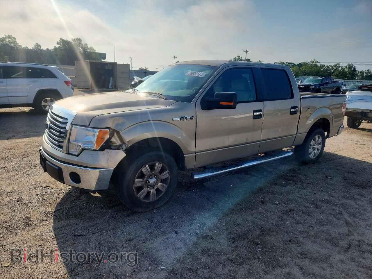 Фотография 1FTEW1CM9BFA91956 - FORD F150 2011