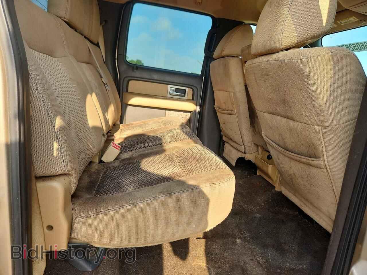 2011 FORD F150 - VIN: 1FTEW1CM9BFA91956 - Фото 10