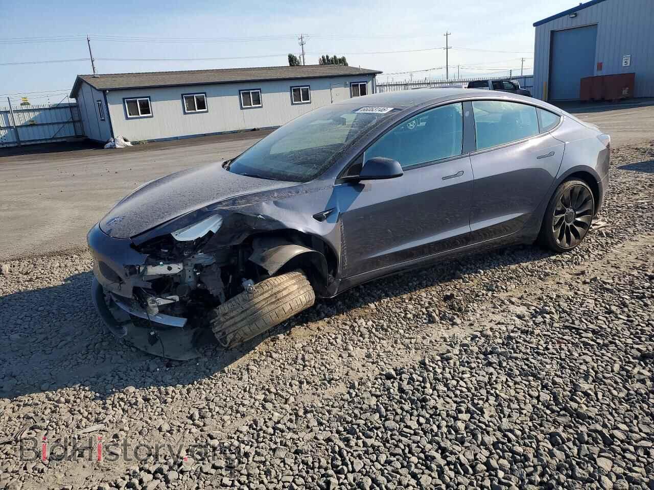 Фотография 5YJ3E1EC0PF576268 - TESLA MODEL 3 2023