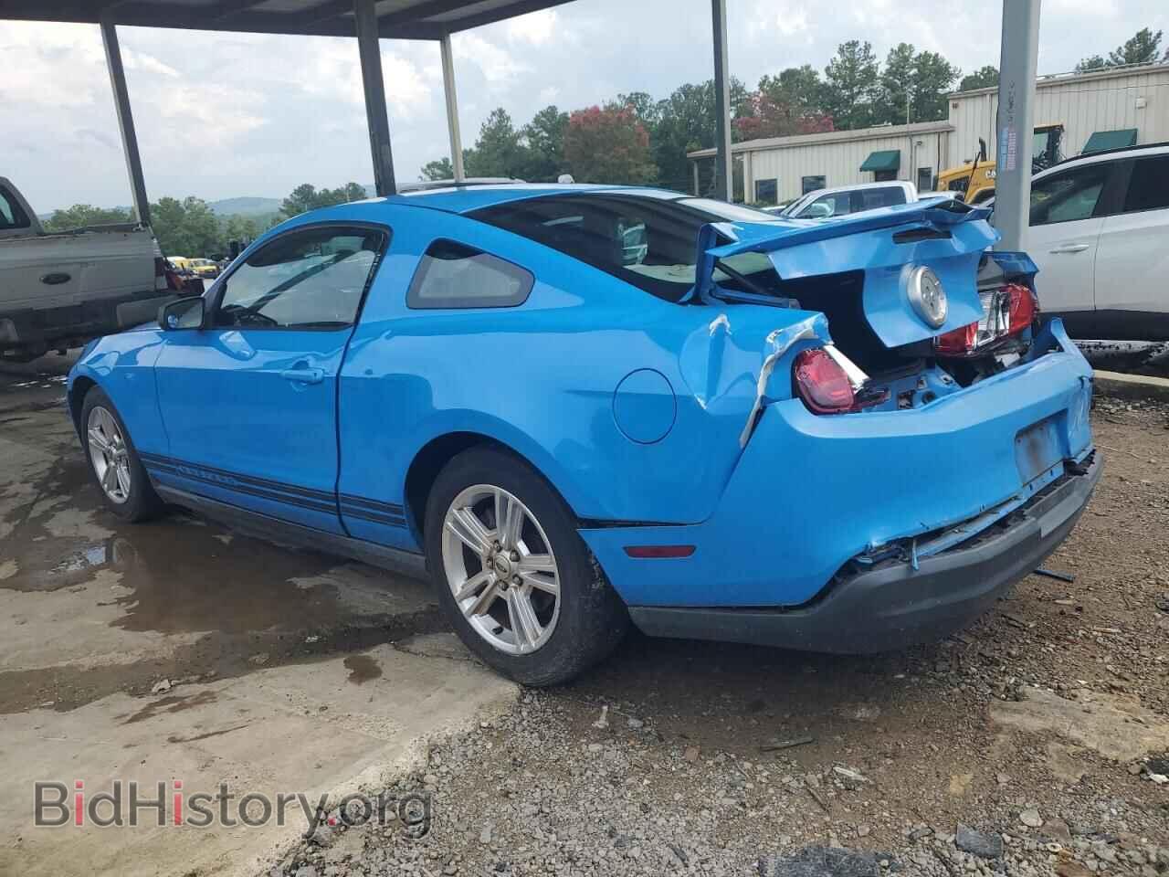 2010 FORD ALL Models - VIN: 1ZVBP8AN8A5130882 - Фото 2