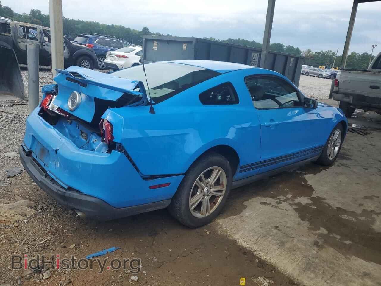 2010 FORD ALL Models - VIN: 1ZVBP8AN8A5130882 - Фото 3