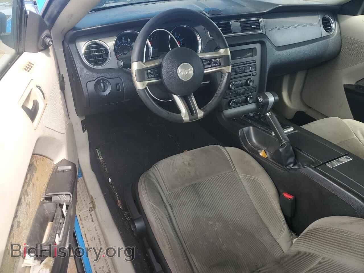 2010 FORD ALL Models - VIN: 1ZVBP8AN8A5130882 - Фото 8