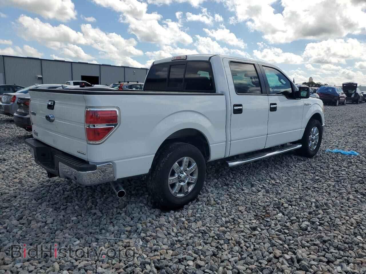 2013 FORD F-150 - VIN: 1FTFW1CF6DKF58864 - Фото 3