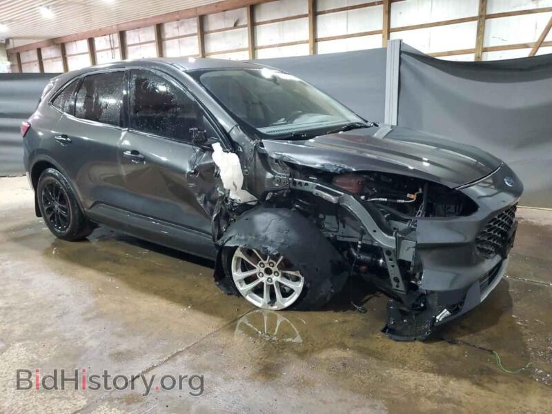 2020 Ford ESCAPE (VIN 1FMCU0F68LUA24892) — фото 4 из 13