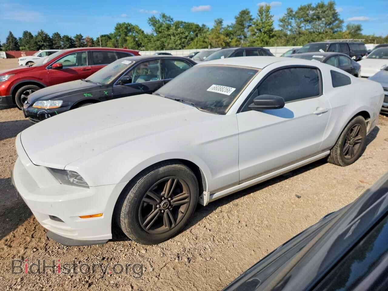 Photo 1ZVBP8AM3E5275163 - FORD MUSTANG 2014