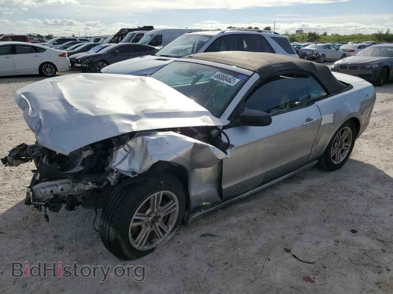 Фотография 1ZVBP8EM4E5263601 - FORD MUSTANG 2014
