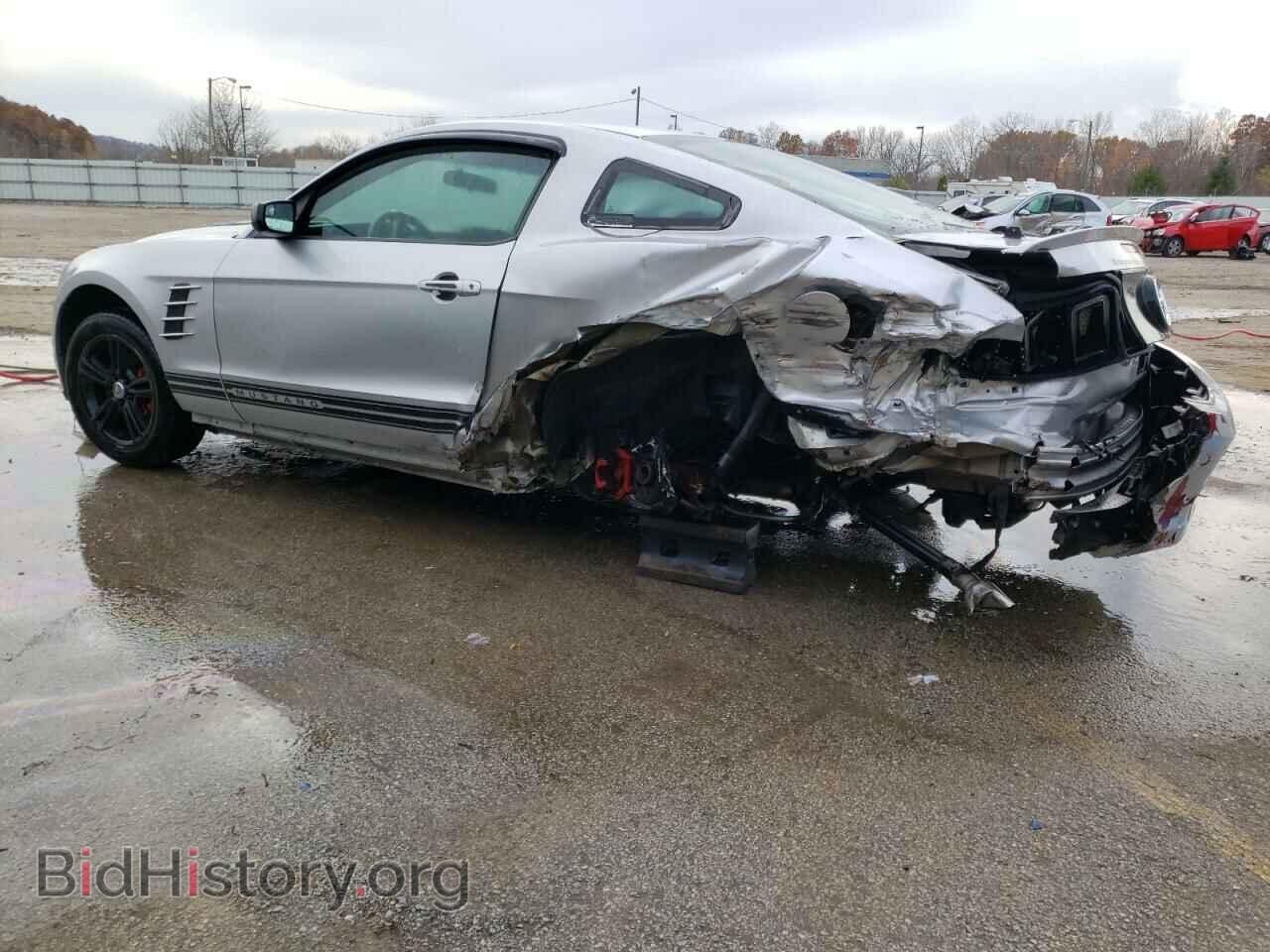 2013 FORD ALL Models - VIN: 1ZVBP8AM4D5223426 - Фото 2
