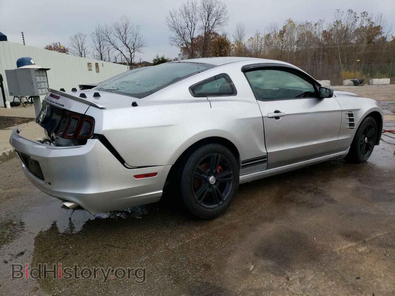 2013 FORD ALL Models - VIN: 1ZVBP8AM4D5223426 - Фото 3