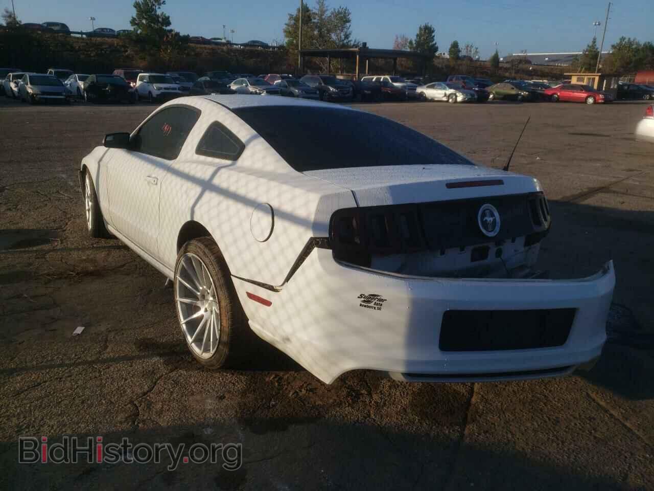 2014 FORD MUSTANG - VIN: 1ZVBP8AM4E5248991 - Фото 3