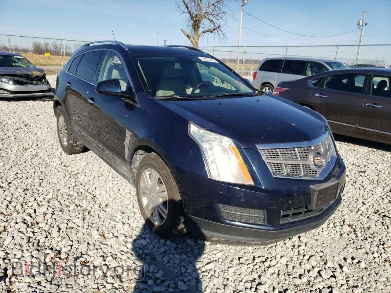 Фотография 3GYFNAEY5BS548128 - CADILLAC SRX 2011
