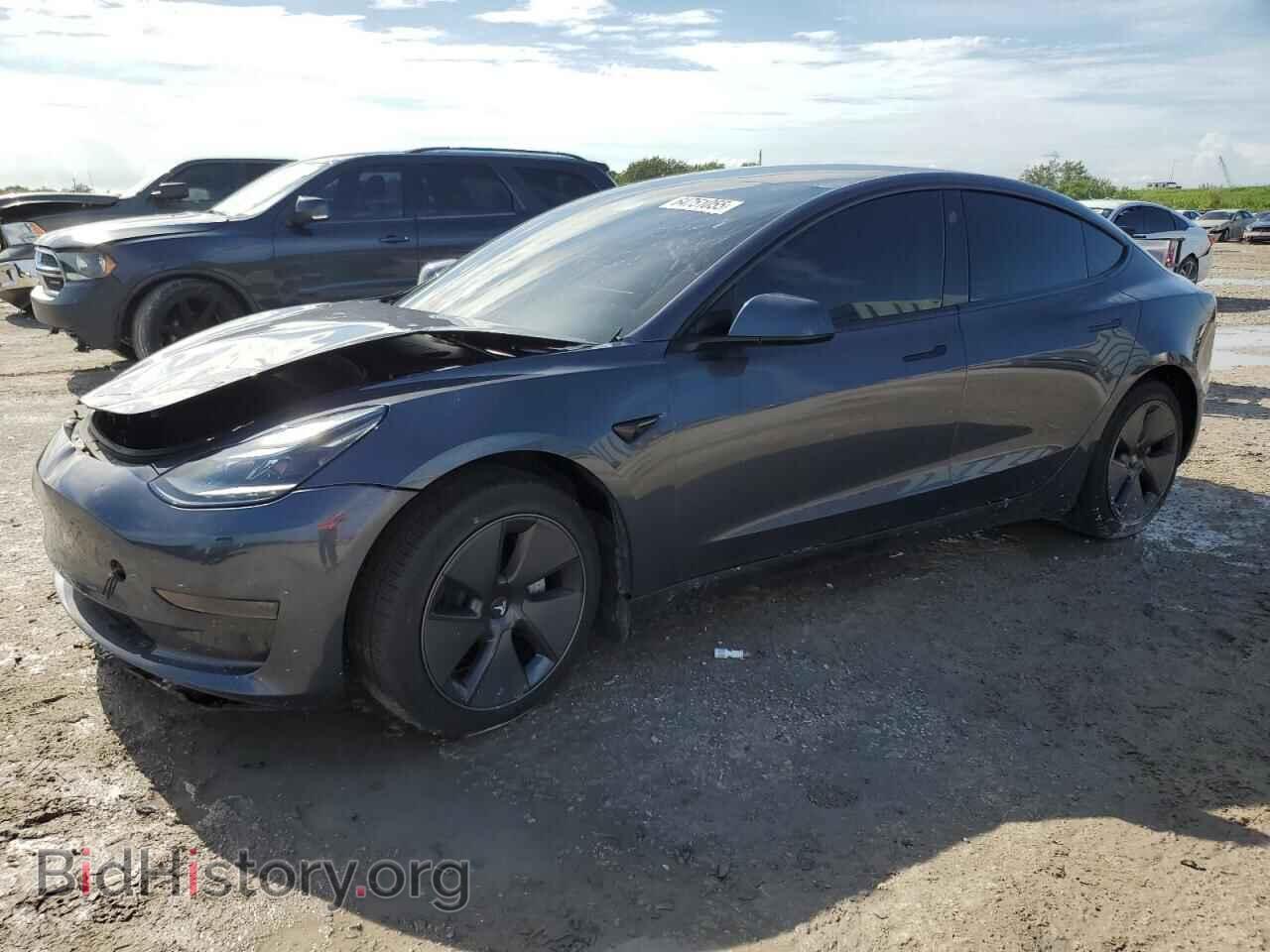 Фотография 5YJ3E1EA6PF553284 - TESLA MODEL 3 2023