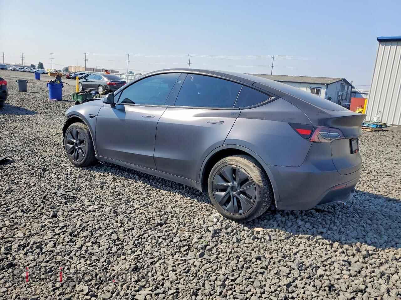 2024 TESLA MODEL Y - VIN: 7SAYGDEE2RF116893 - Фото 2