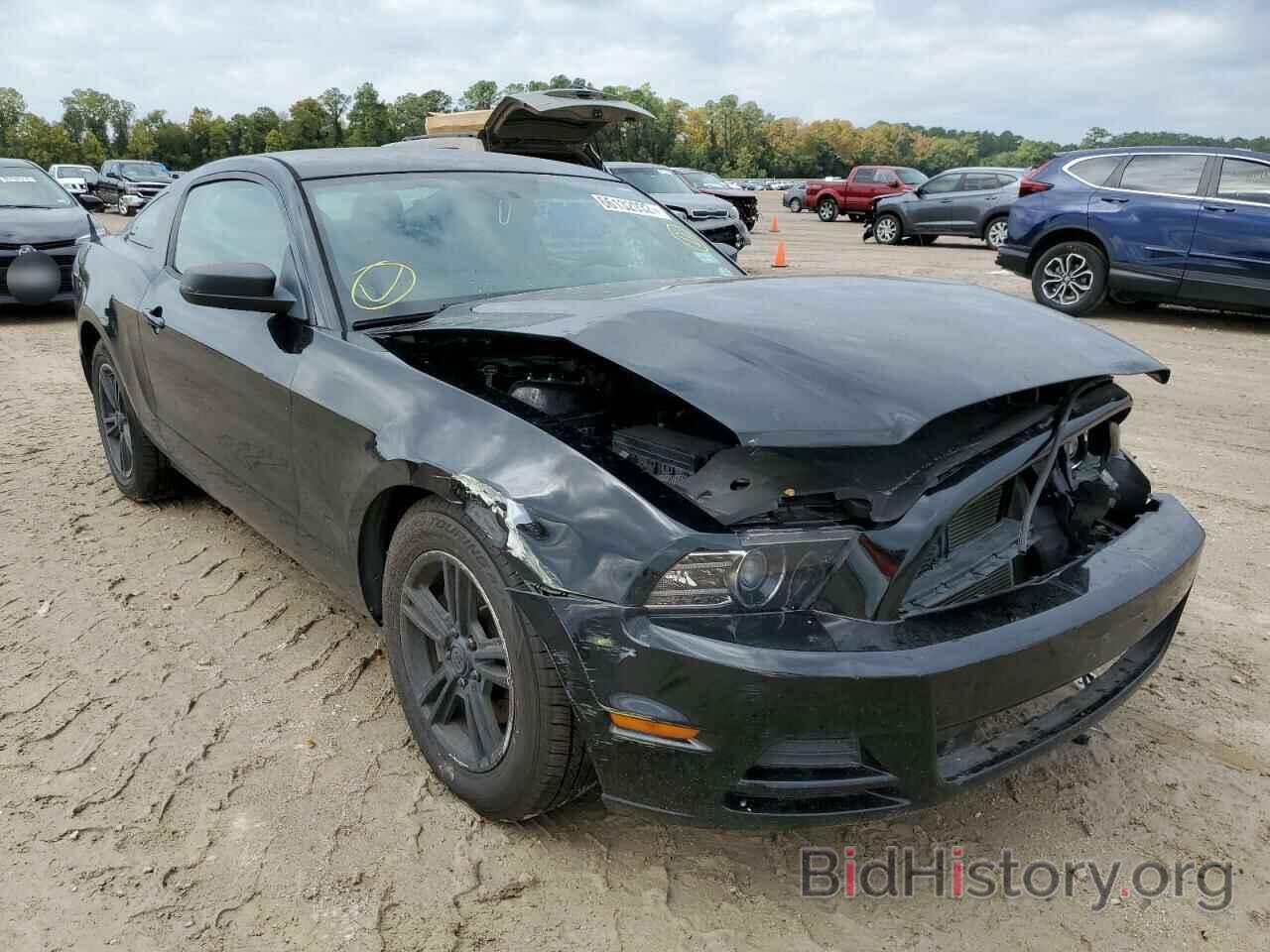 Photo 1ZVBP8AM1E5274531 - FORD MUSTANG 2014