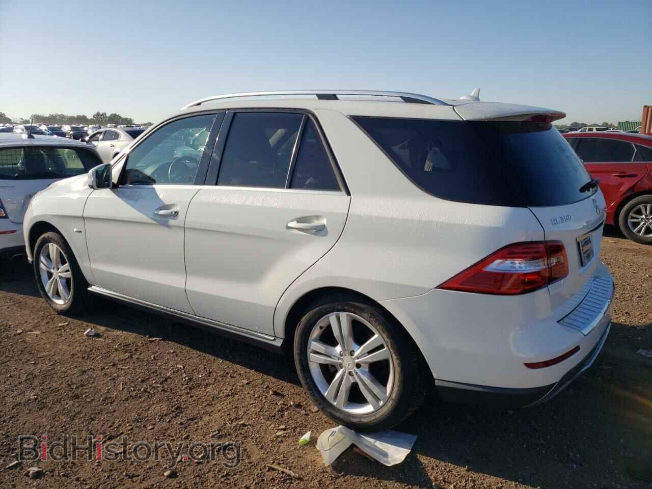 2012 MERCEDES-BENZ M-CLASS - VIN: 4JGDA5HB2CA001775 - Фото 2