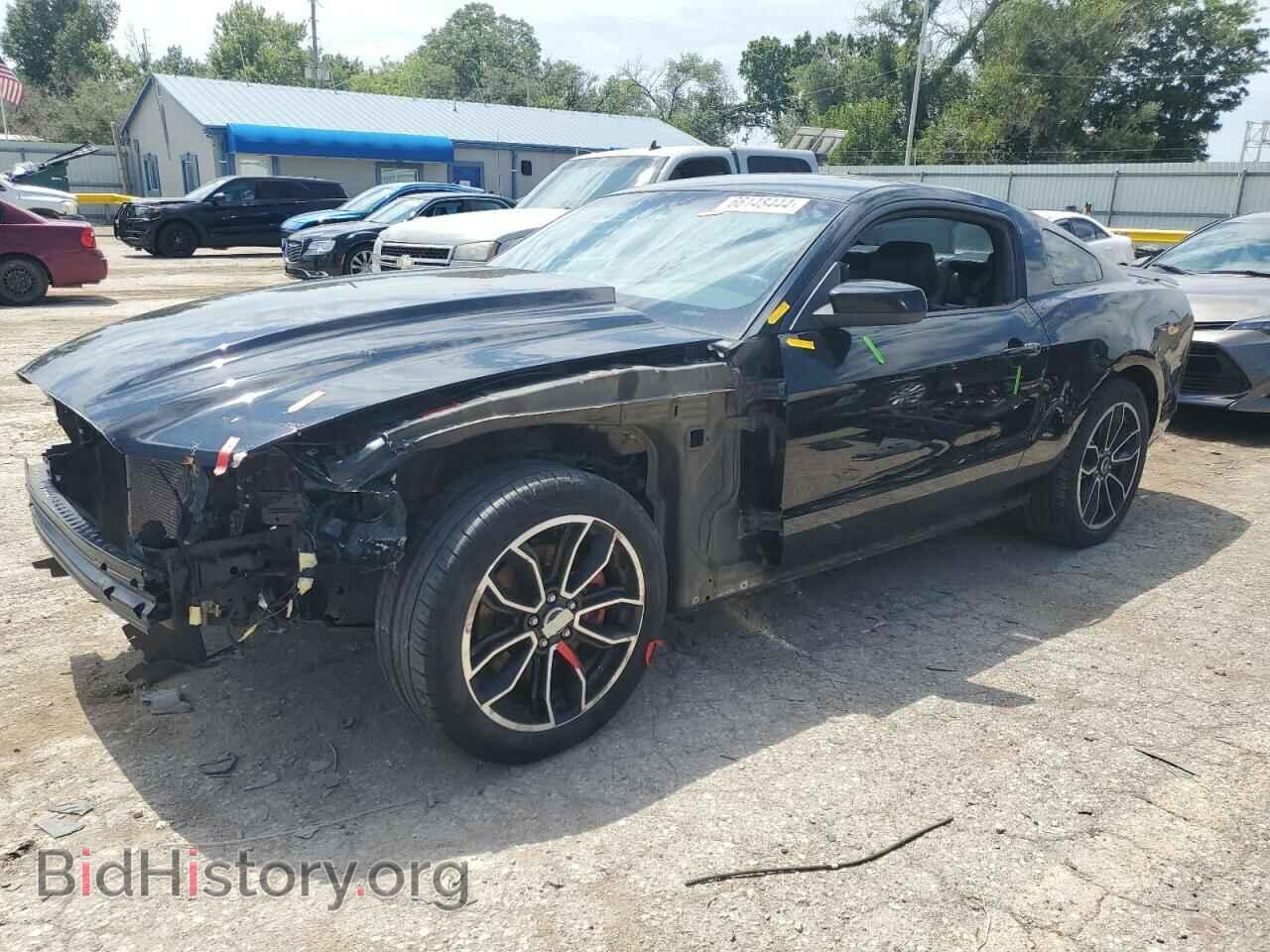 Фотография 1ZVBP8CF2D5284773 - FORD MUSTANG 2013