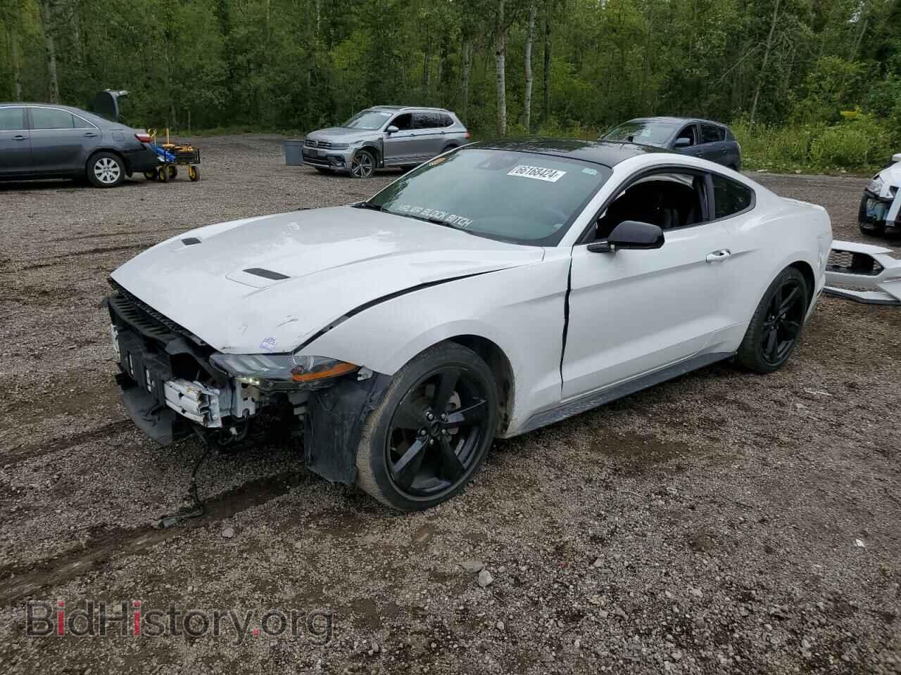 Photo 1FA6P8TH8M5126529 - FORD ALL Models 2021
