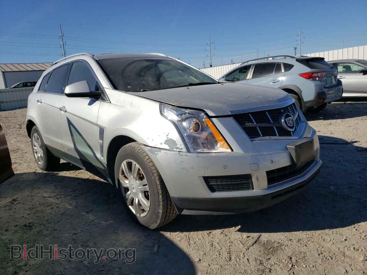 Фотография 3GYFNDEY9BS629263 - CADILLAC SRX 2011
