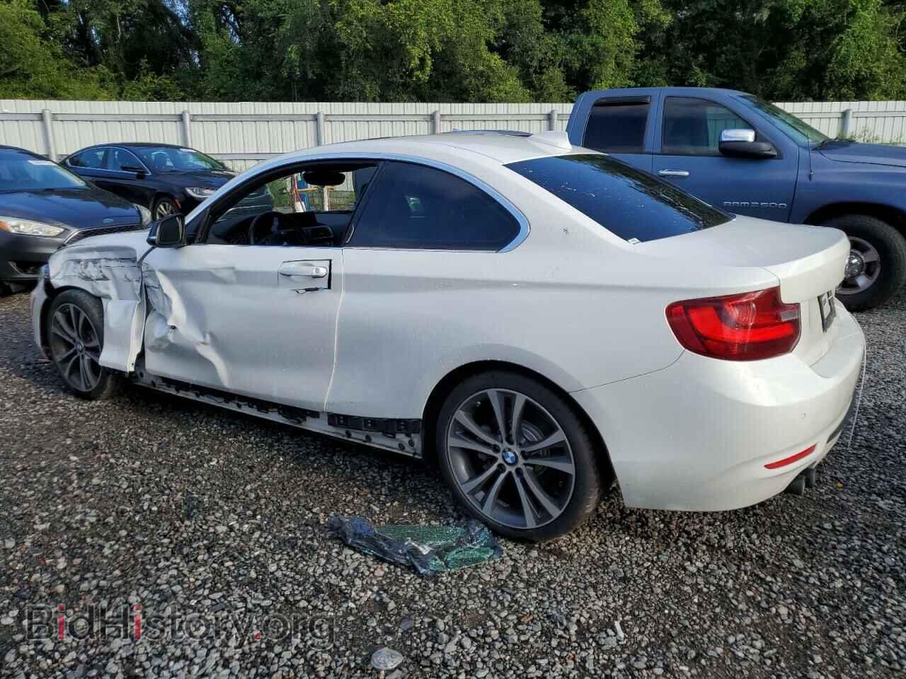 2015 BMW 2 SERIES - VIN: WBA1F5C59FV257576 - Фото 2