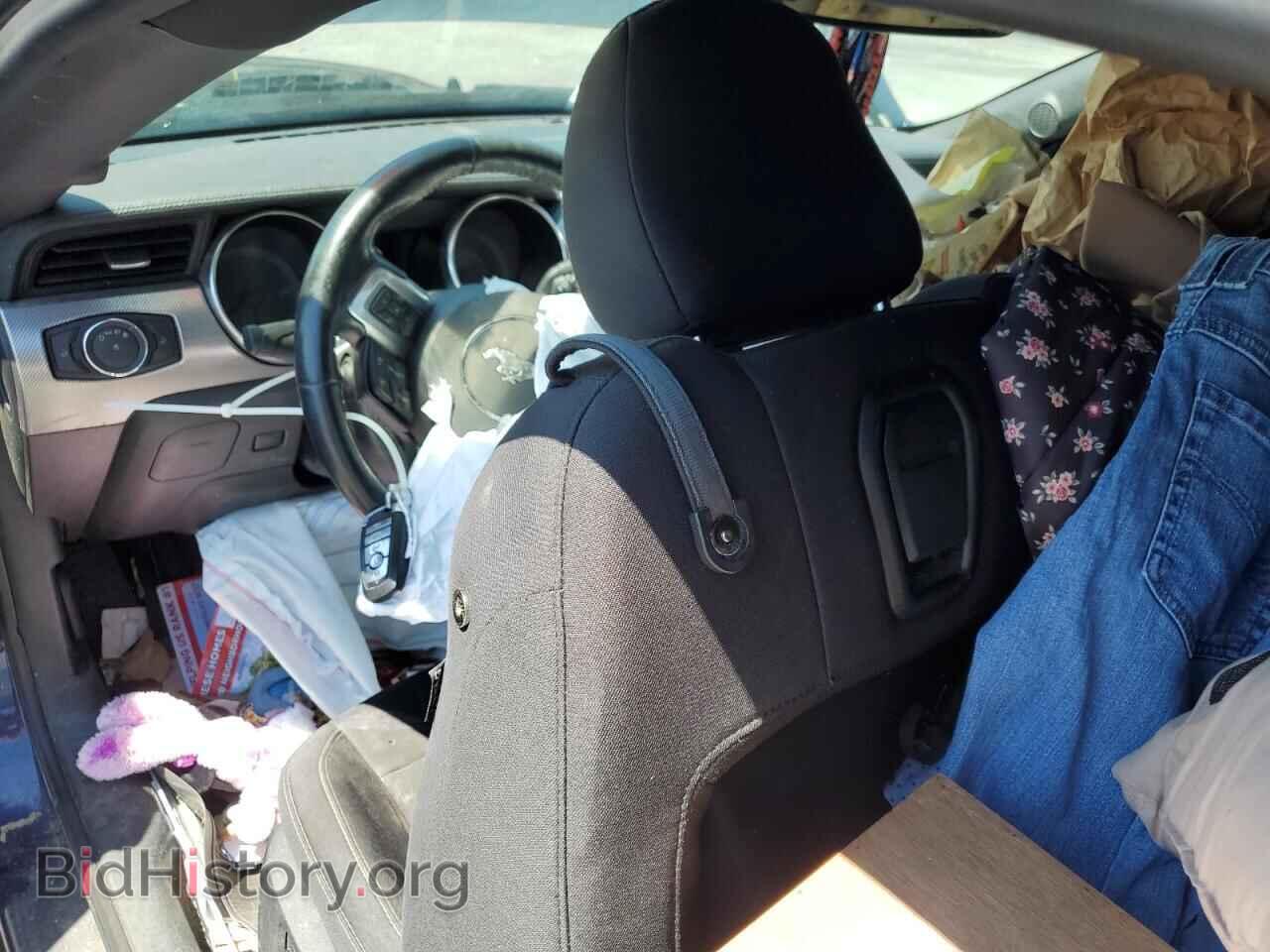 2020 FORD ALL Models - VIN: 1FA6P8TH8L5161375 - Фото 8