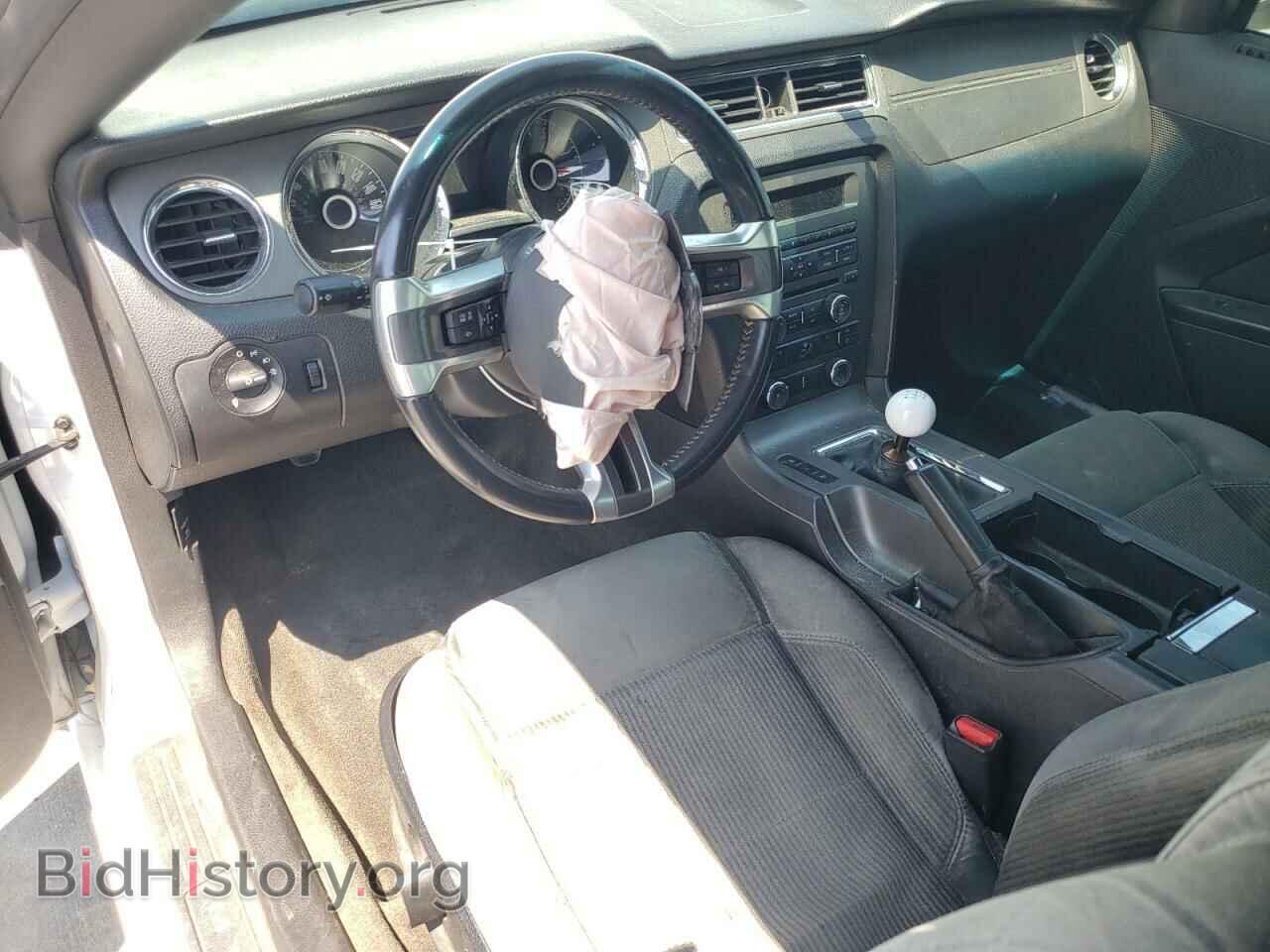 2014 FORD MUSTANG - VIN: 1ZVBP8CF3E5332279 - Фото 8
