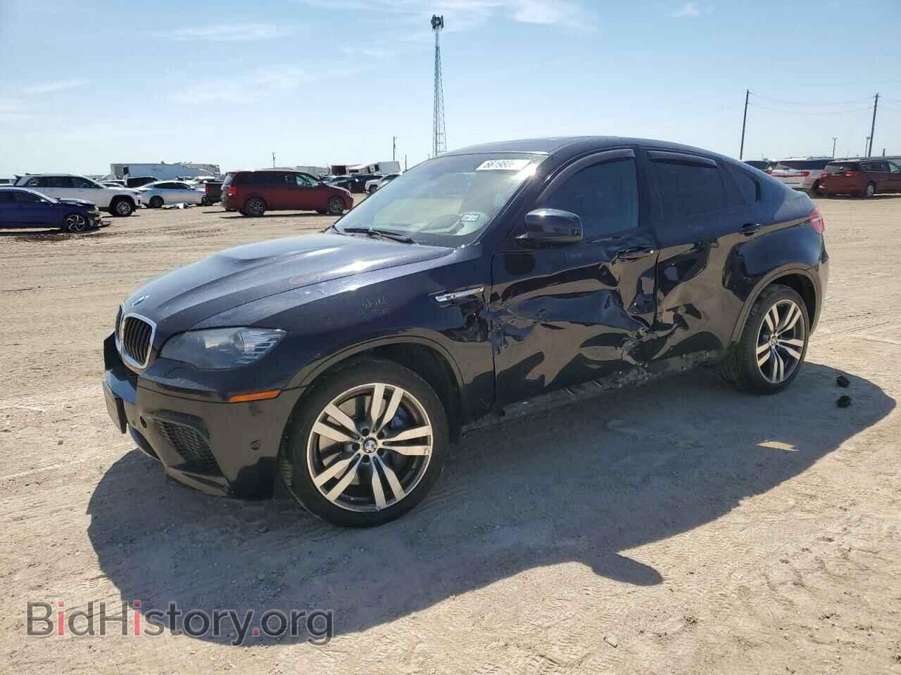 Photo 5YMGZ0C50E0C40310 - BMW X6 2014