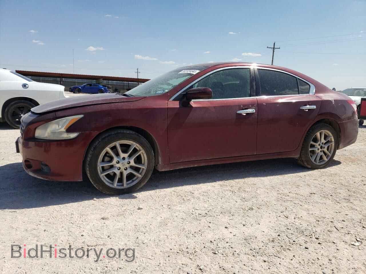 Photo 1N4AA5AP1BC830648 - NISSAN MAXIMA 2011